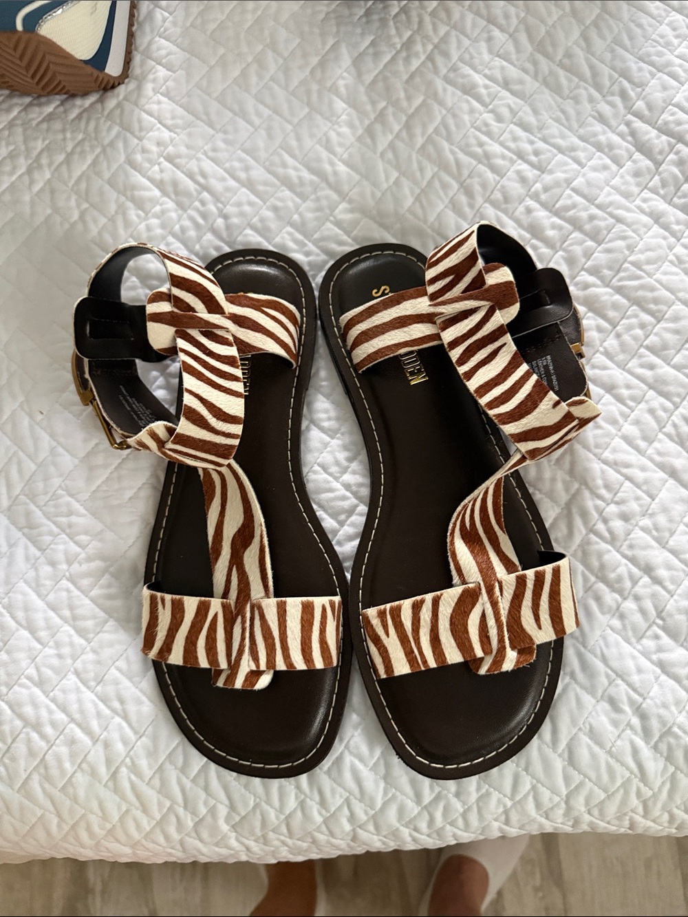 Steve Madden Women’s Zebra-Print Strappy Sandals - Brown/Cream